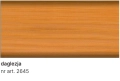 Daglezja