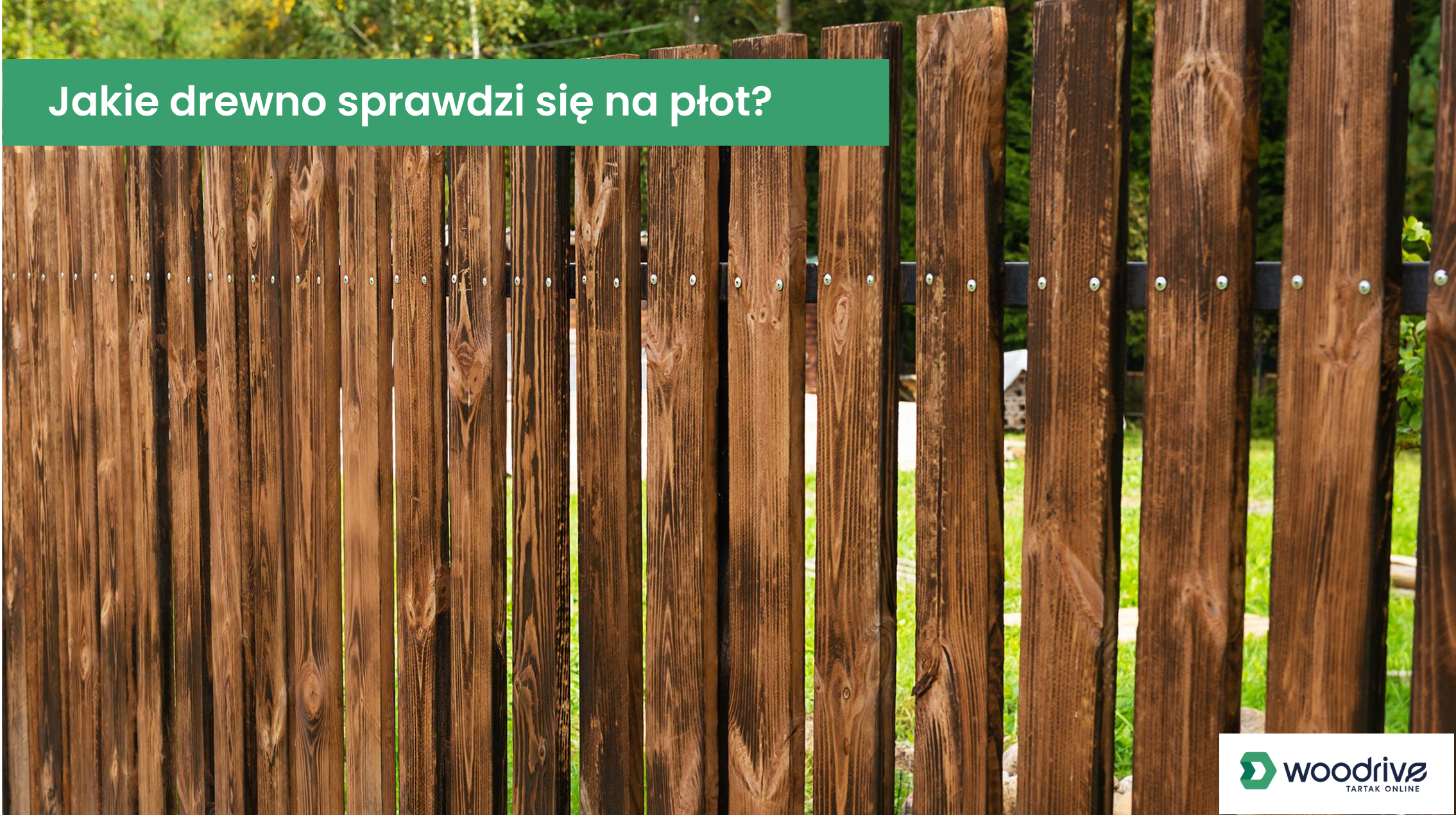 Podpowiadamy, jakie drewno dobrze sprawdzi się na płot