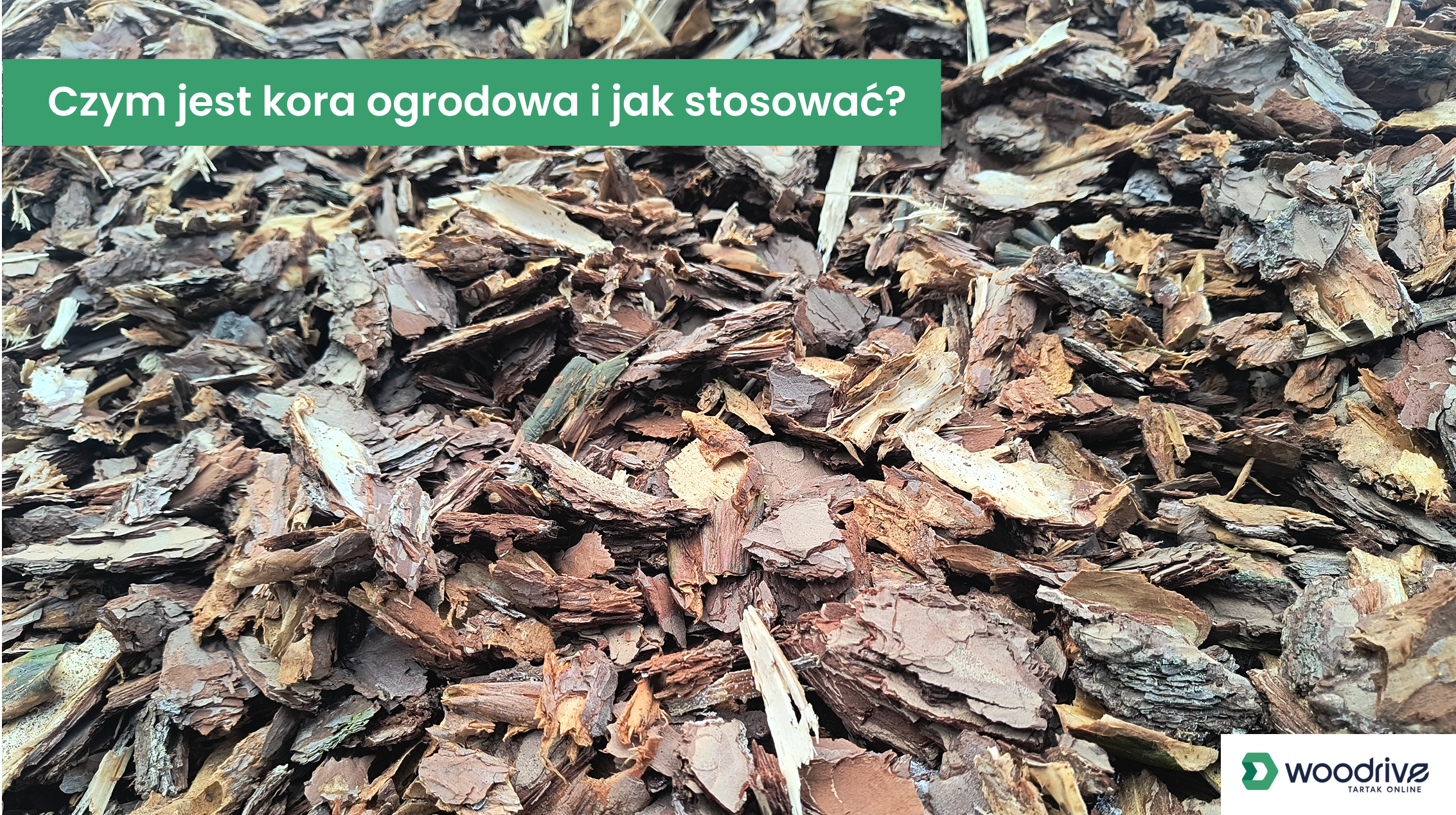 Kora ogrodowa – rodzaje, zastosowanie i jak stosować krok po kroku